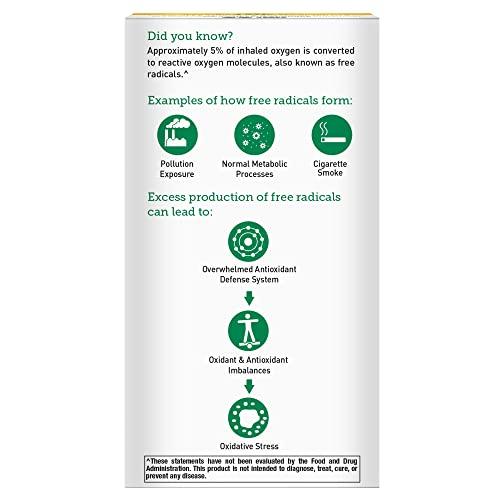 Dot\'s Homestyle Pretzels Dot\'s Homestyle Pretzels 5 Ounce Snack Size Individual Packs Seasoned Pretzel Twists (Variety Pack, 5 Ounce (Pack of 3))