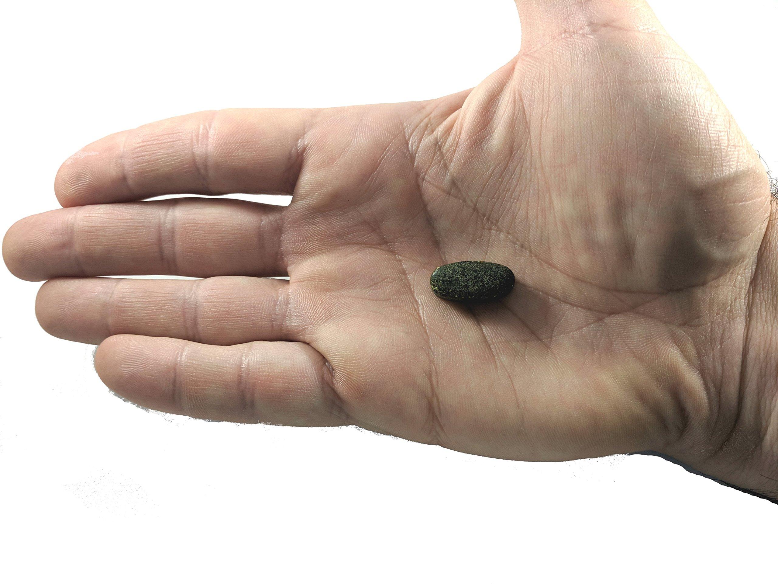 Vitalit Now! Vegan Whole Food Multivitamin & Mineral - Vitamins A B1 B2 B6 B12 C D3 E & 110 Super Foods, Herbs, Greens & Reds - Enzymes & Probiotics for Immune Support - Energy Boost - 90 Tablets