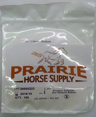 Prairie Horse Supply 5/16 Inch Orthodontic Elastic Rubber Bands, 500 Pack, Natural, Medium 3.5 Ounce Small Rubberbands Dreadlocks Hair Braids Fix Tooth Gap, Free Elastic Placer for Braces