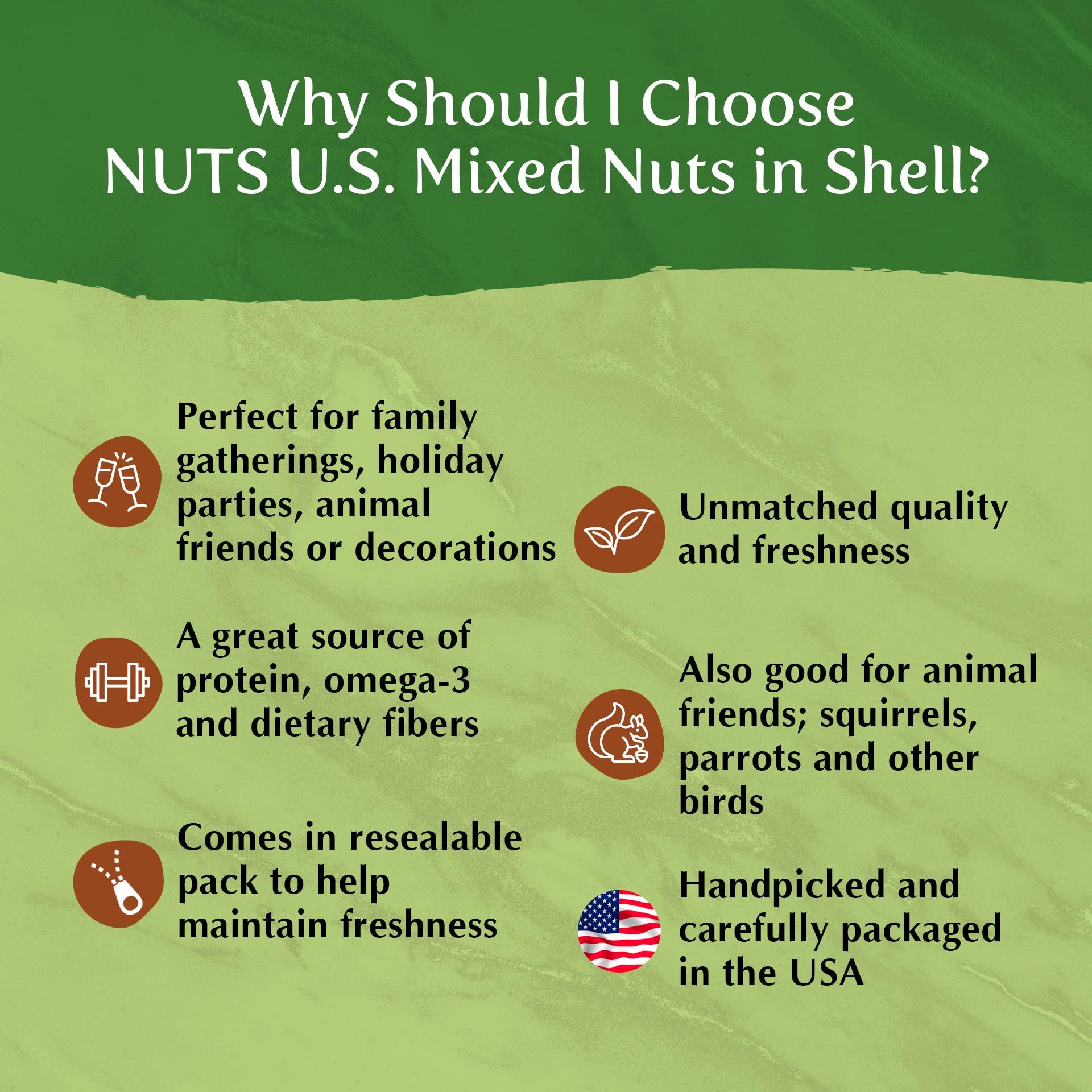 NUTS - U.S. - HEALTH IN EVERY BITE ! NUTS U.S. – Mixed Nuts In Shell (Almonds, Walnuts, Hazelnuts, Pecans) | No Added Colors and No Artificial Flavors | Fresh Buttery Taste and Raw |Packed In Resealable Bags!!! (6 LBS)