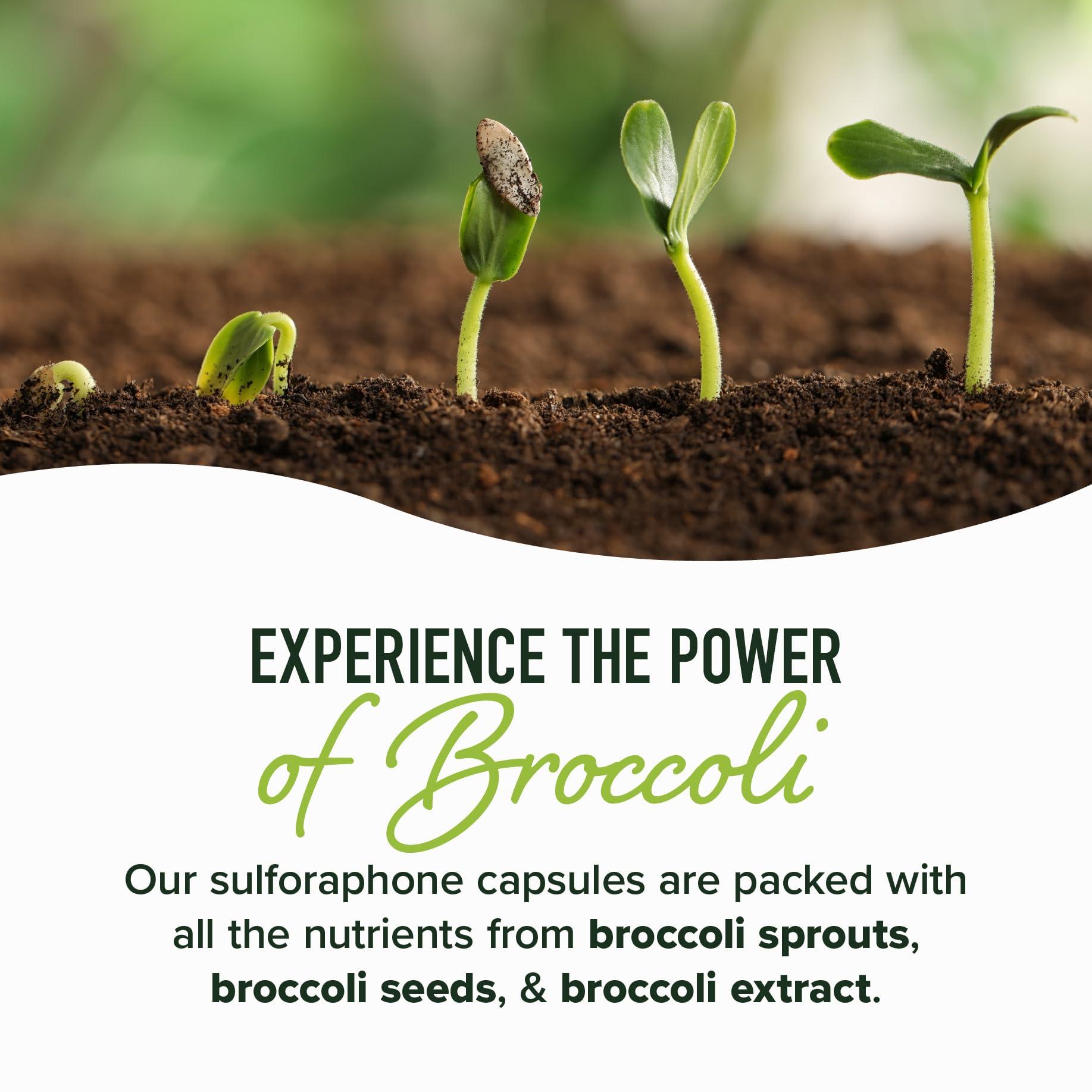 SMNutrition 50MG Sulforaphane Supplement from Broccoli Sprouts | NRF2 Activation with Glucoraphanin, Myrosinase & Antioxidants | Support Cellular & Immune Health | Broccoli Seed Microbeadlets, Vegan 60 Count