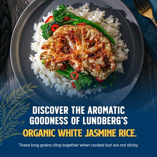 Lundberg Lundberg Organic Jasmine Rice, Long Grain White Rice - Non-Sticky, Fluffy Aromatic Rice, Organically Grown in California, Pantry Staples, 25 Lbs