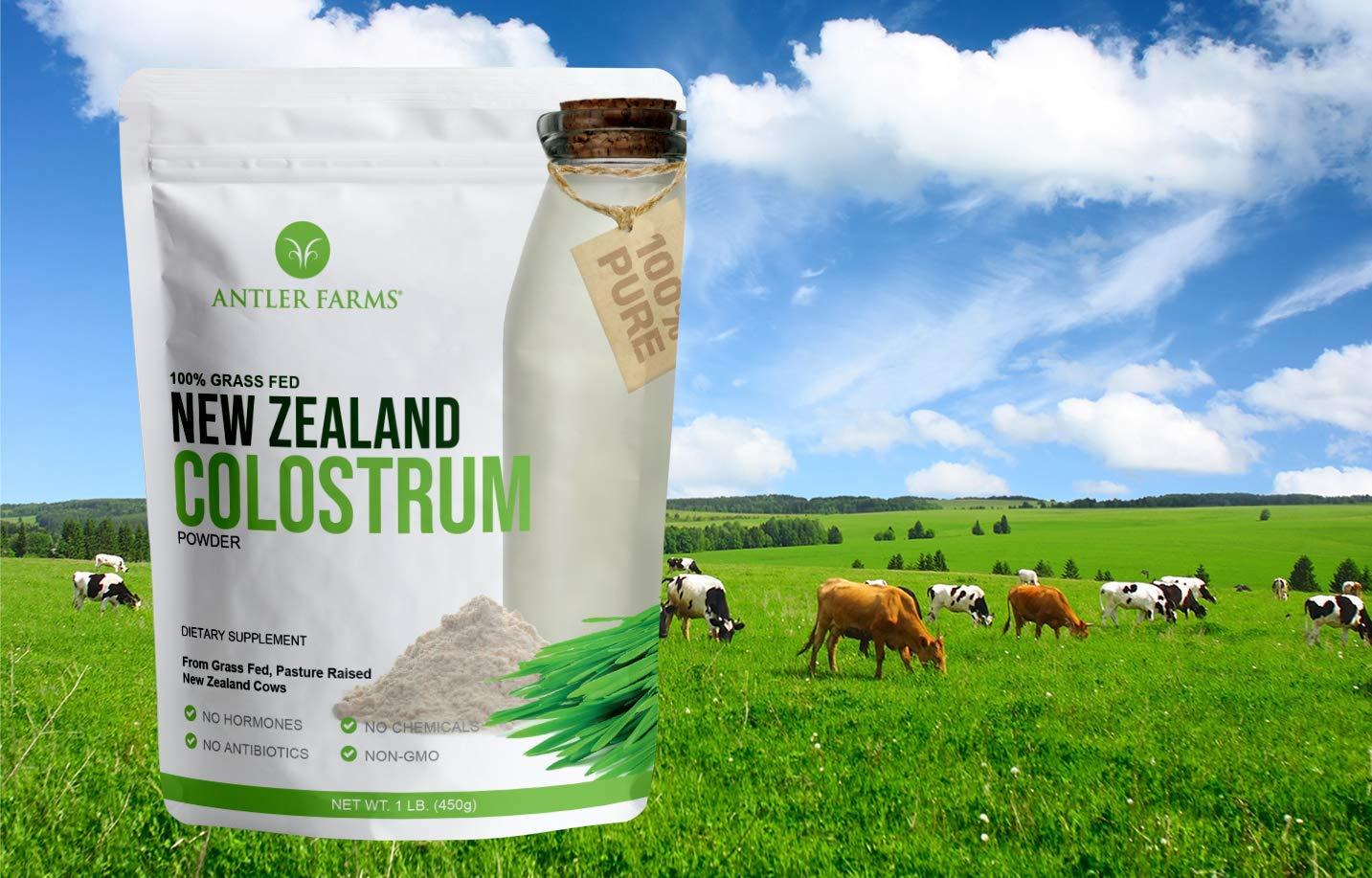 Antler Farms Antler Farms 100% Pure New Zealand Colostrum, 30 Servings, 1 lb - Grass Fed, Pasture Raised, Clean Sourced, Cold Processed, Undiluted, High IgG Content