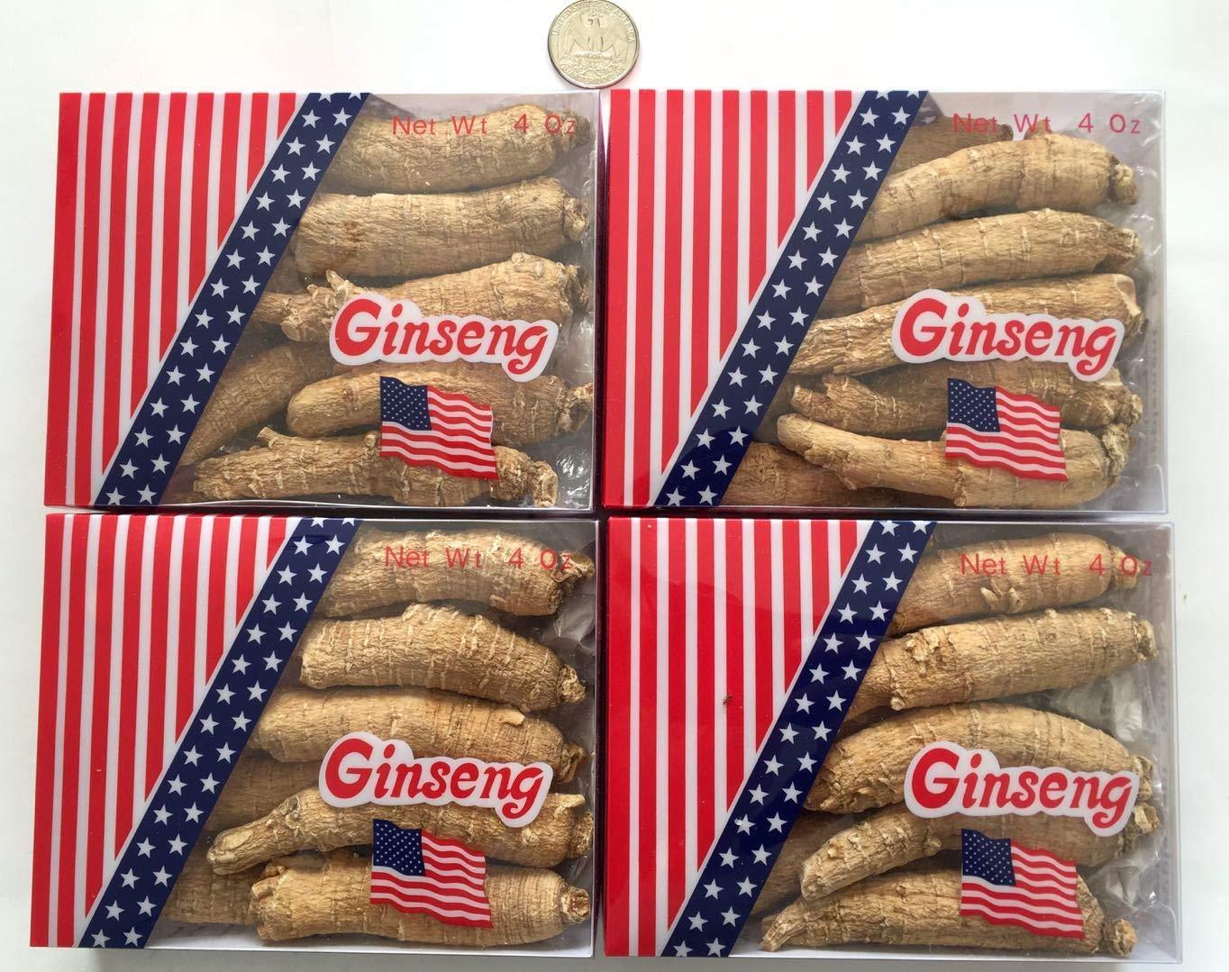 Herbal For Life By CH Connection American Ginseng from Wisconsin, Ginseng Root / Ginseng Slice / Ginseng Tea, 4 Ounce (Jumbo Long Roots)