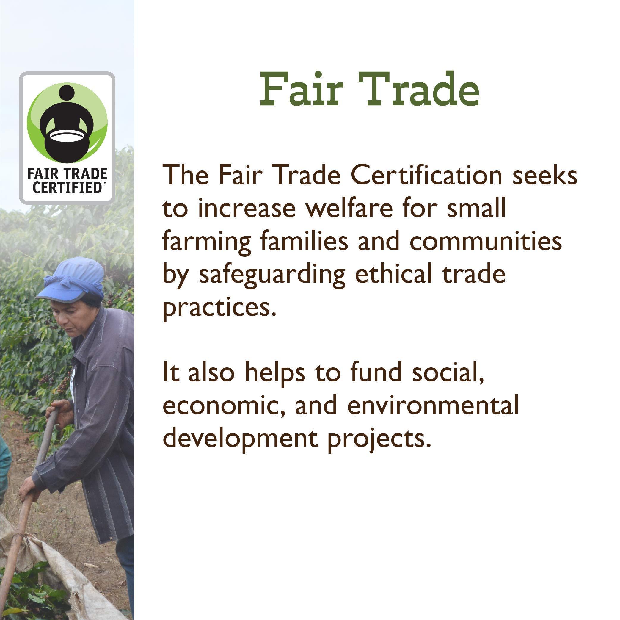 Fresh Roasted Coffee Fresh Roasted Coffee, Fair Trade Organic Ethiopian Sidamo, 2 lb (32 oz), Light Roast, Kosher, Ground