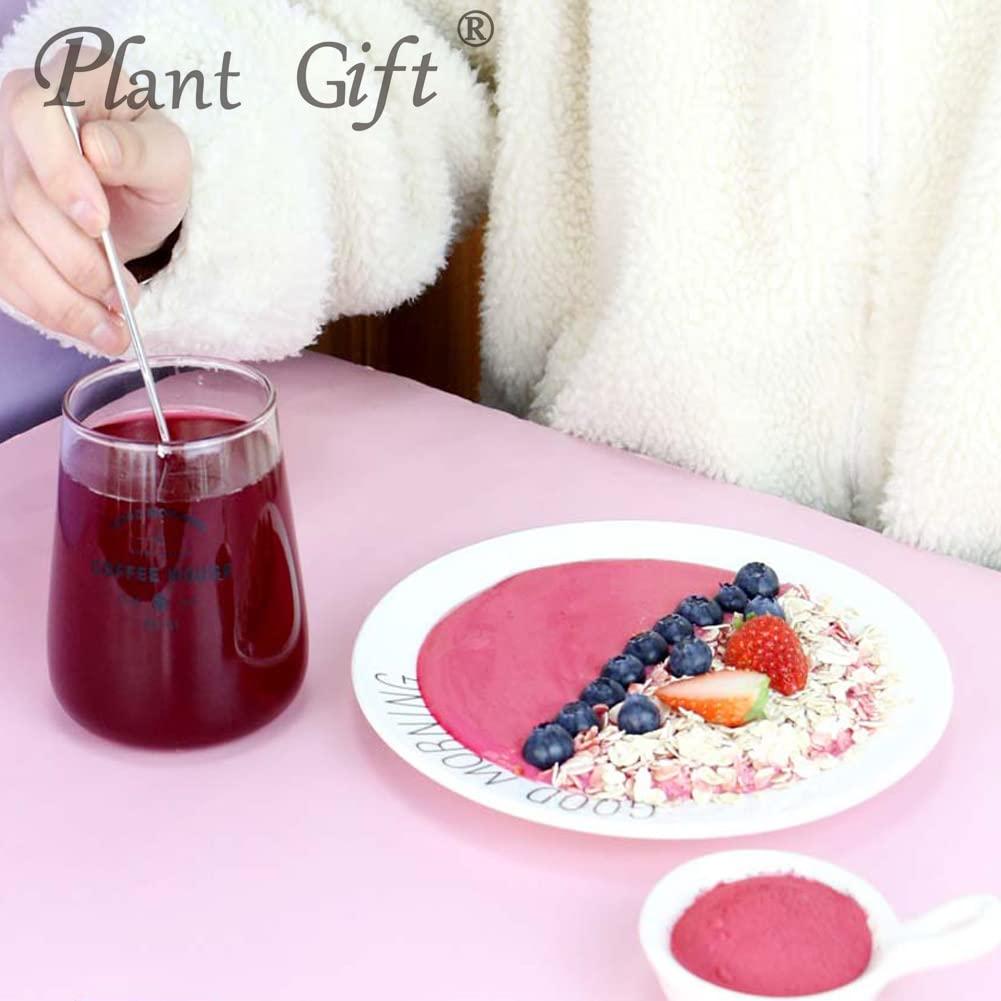 Plant Gift Plant Gift 100% Pure Beetroot Powder 100G/3.25oz Non-GMO Powder, No Filler, No additives, Natural Beetroot Flour,Best Flavor for Smoothie, Drinks, Coffee and Baking, Adds Flavor and Taste