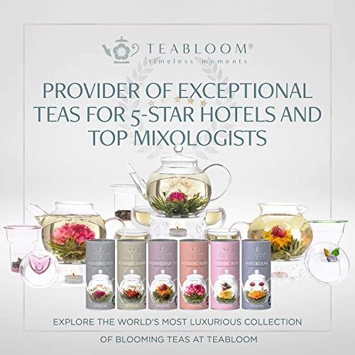 Teabloom Teabloom Jasmine Flowering Tea – Hand Tied Green Tea Leaves + Jasmine Blossoms Flowering Tea Creations – Blooming Tea Gift Set – 12-Pack, 36 Steeps, Makes 250 Cups
