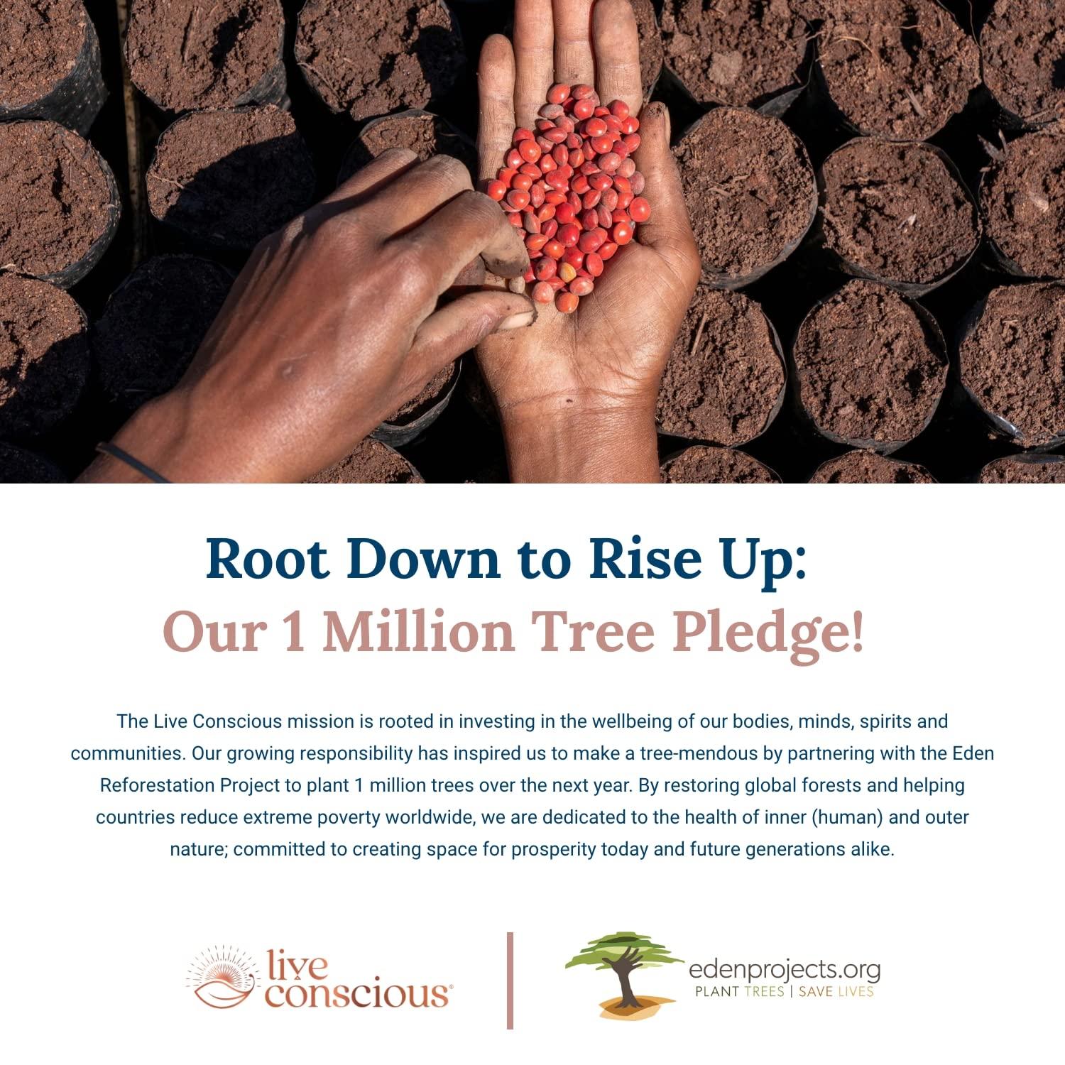 Live Conscious LiverWell Liver Cleanse, Rejuvenation, Metabolic Support - Liver Supplement for Liver Health w/Highly Bioavailable Milk Thistle Extract, N-Acetyl Cysteine, Alpha Lipoic Acid, Zinc, Selenium - 60 Caps