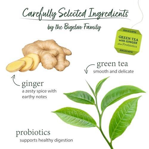 Bigelow Tea Bigelow Tea Green Tea with Ginger Plus Probiotics, Caffeinated, 18 Count, (Pack of 1), 108 Total Tea Bags