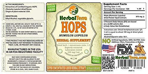 Herbal Terra LLC Hops (Humulus Lupulus) Tincture, Organic Dried Flowers Liquid Extract (Brand Name: HerbalTerra, Proudly Made in USA) 2x2 fl.oz (2x60 ml)