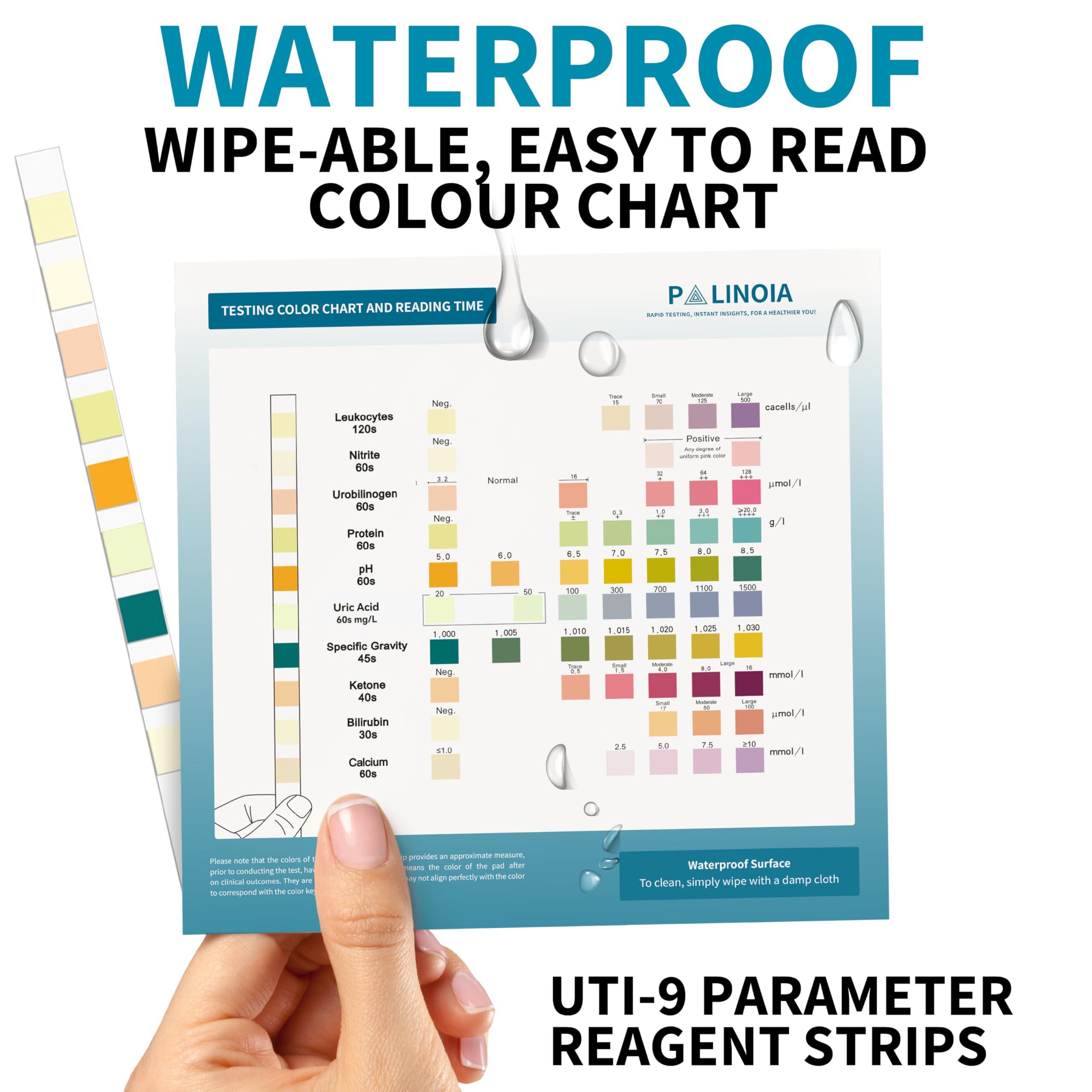 Palinoia URS 9-in-1 Urine Test Strips 9 Parameters Testing UTI, Protein/Leukocytes/Nitrite/pH, 100 CT