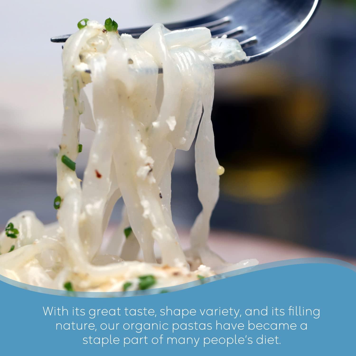 Caloless Caloless Konjac Shirataki Noodles 12-Pack Low Calorie Healthy Food (Chicken/Tom Yum/Chilli & Vinegar) + Vegan,Keto & Paleo Friendly, Low Calorie Food (Fettuccine)