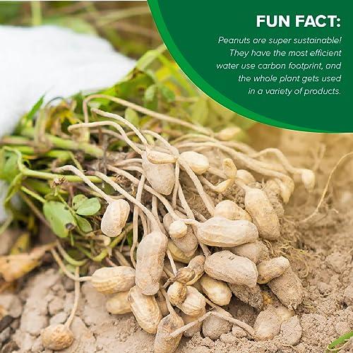 Hampton Farms Hampton Farms - USA Grown All-Natural - Fancy Roasted In-Shell Unsalted Peanuts - 5 lb. Bag