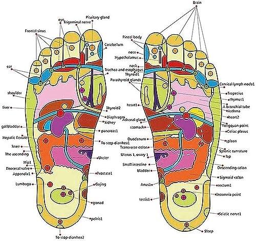 LUXRUB Acupressure Foot Reflexology Massage Slippers Women Men Foot Pain Relief Massage Sandals Promoting Blood Circulation Myofascial Release Trigger Point Acupuncture (Color : Blue/Grey, Size : 7.5/8)