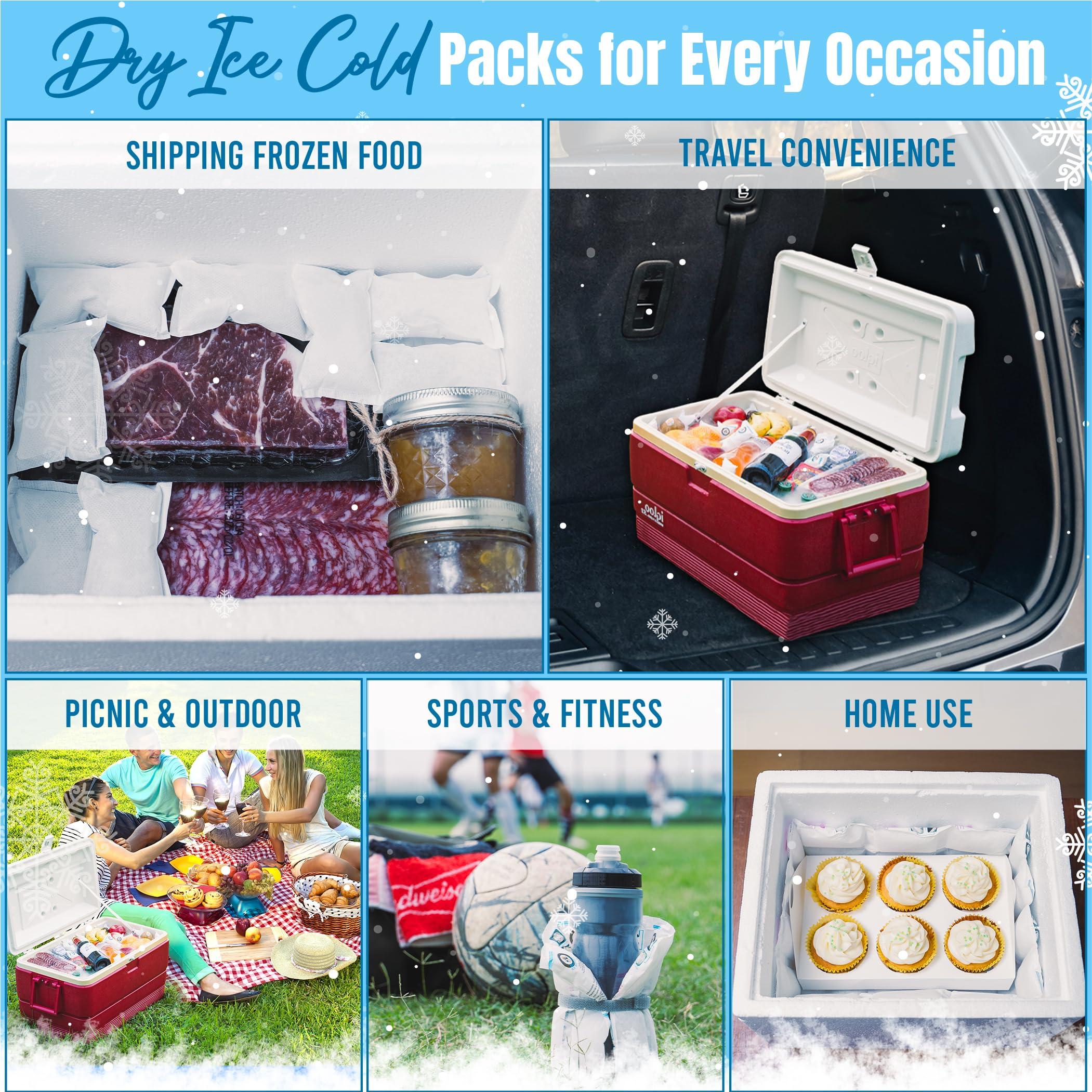 WORLD-BIO Shipping Cold Packs Dry Ice for Shipping Frozen Food, Flexible Cold Ice Pack Sheets for Coolers, Long Lasting Freezer Ice Packs 14\'\' X 13\'\' 144Cells