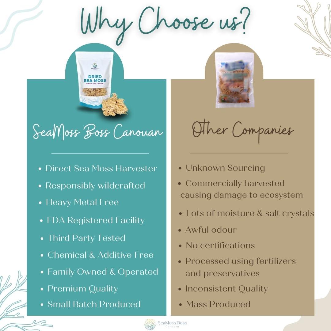 SeaMoss Boss Canouan SeaMoss Boss Canouan | Dried green sea moss | ocean harvested and sun-dried in the remote Grenadine Islands | Easy to use | Makes 300oz sea moss gel