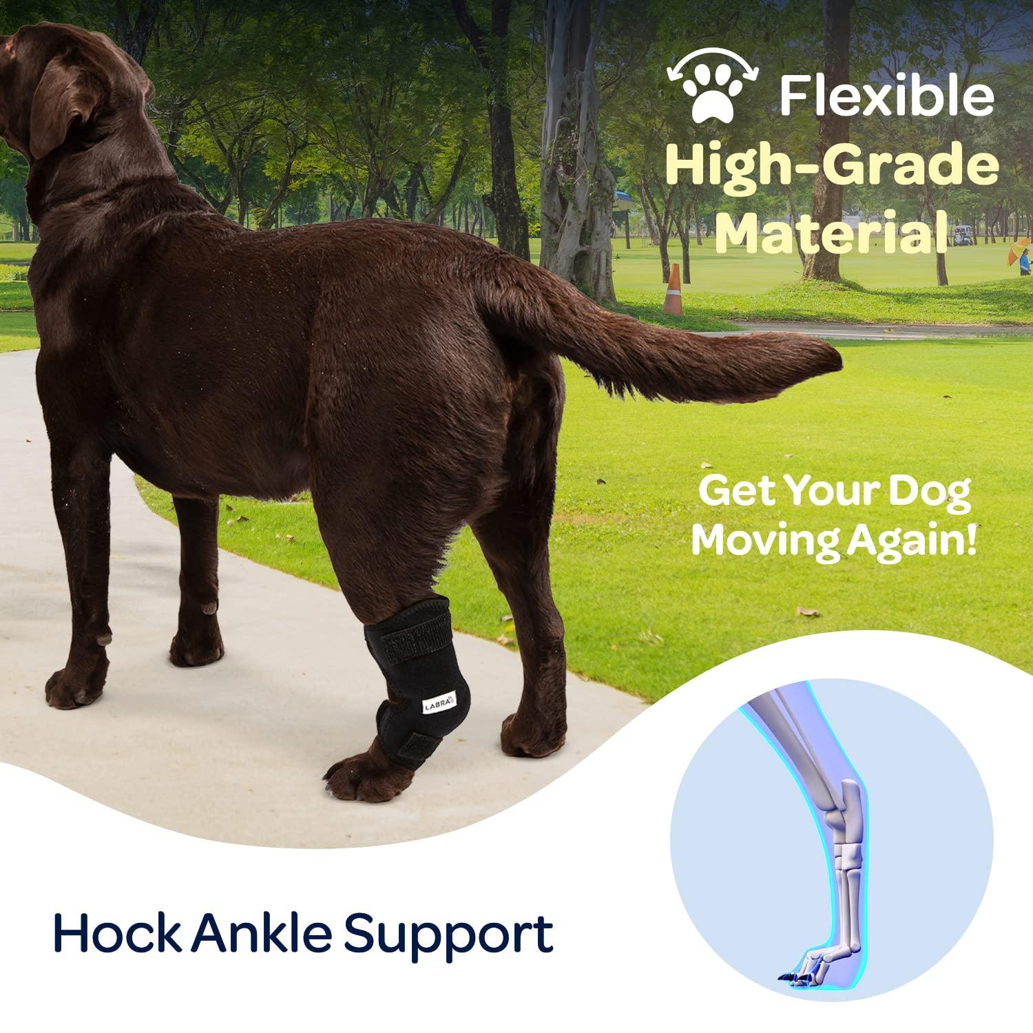 Labra Labra Dog Canine K9 Ice Heat Cold Hot Pack Therapy Compression Leg Wrap - Pain Relief Arthritis Brace for Sprained, Injured Joints, Vet Approved - Extra Large