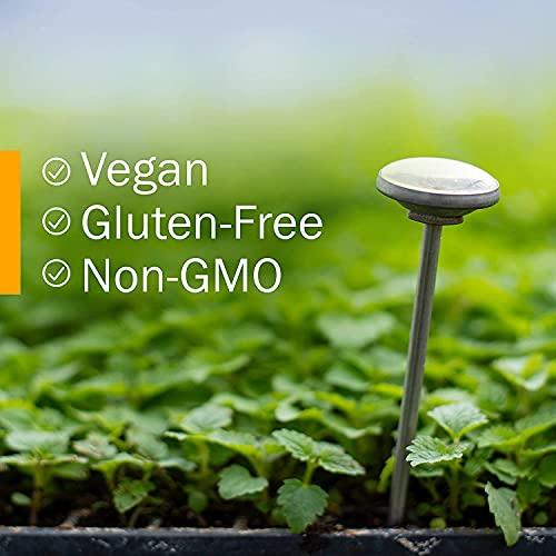 Herb Pharm Herb Pharm Propolis Liquid Extract for Immune System Support - 4 Ounce