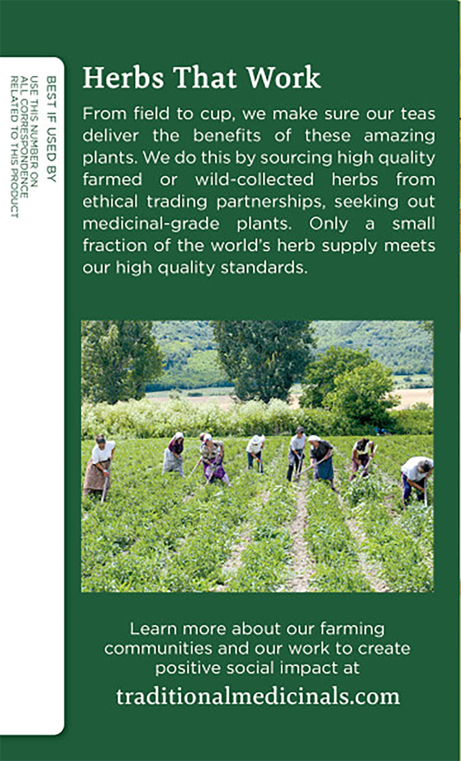 Monin Monin - Caramel Apple Butter Syrup, Buttery Caramel and Cooked Apple Flavor, Natural Flavors, Great for Hot Lattes, Ciders, and Seasonal Cocktails, Non-GMO, Gluten-Free (750 ml)