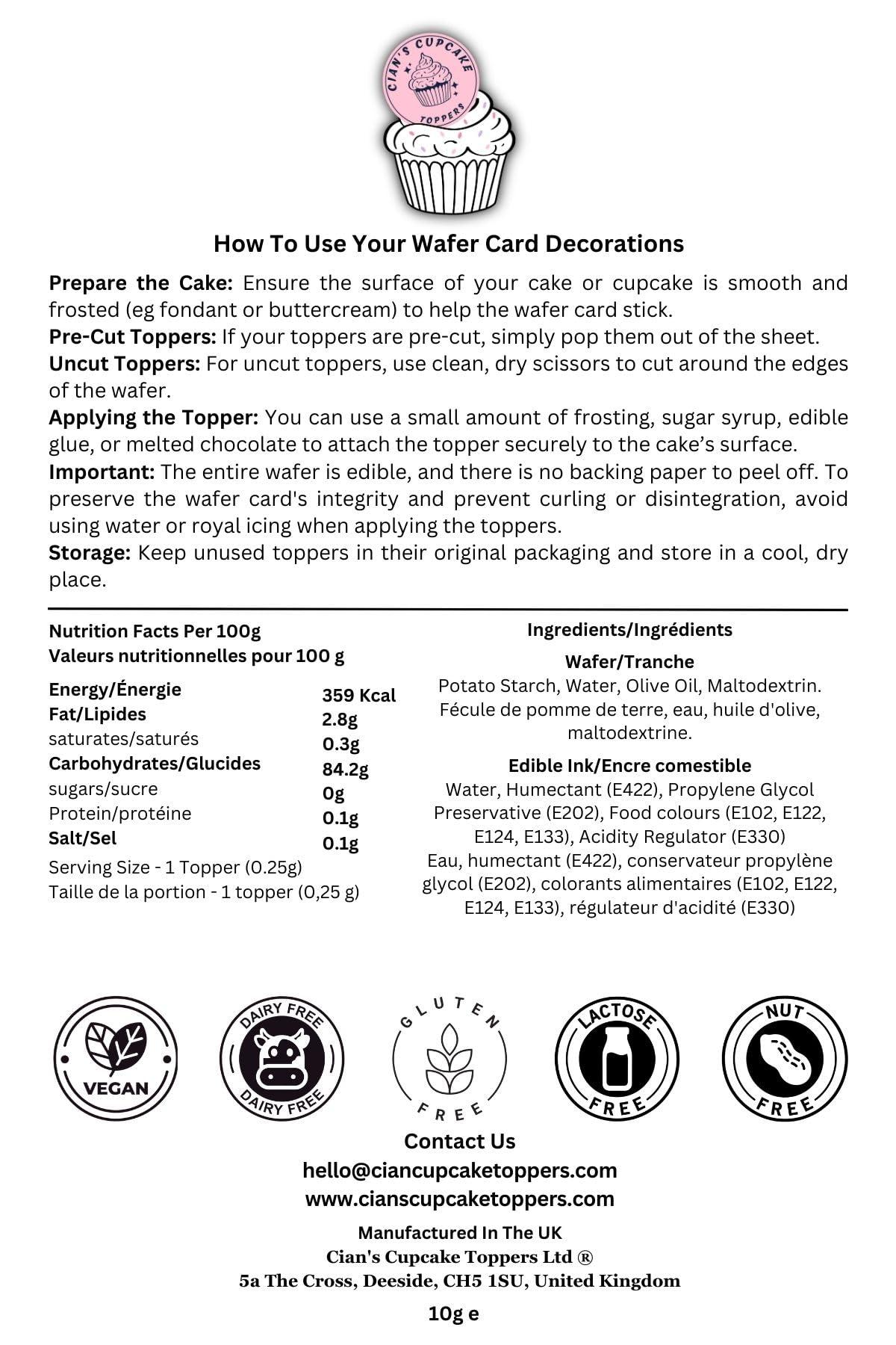 Cian\'s Cupcake Toppers Ltd Holly Edible Christmas Cake Decoration, 7 Inch Festive Wafer Card Christmas Cake Topper for Home Baking, Friendsmas Xmas Party Decoration for Baking 1 x 7\" PRECUT Cake Topper