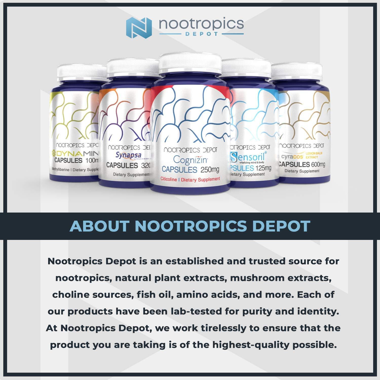 Nootropics Depot Nootropics Depot Quercetin Tablets | 500mg | 60 Count | 95% Anhydrous Quercetin