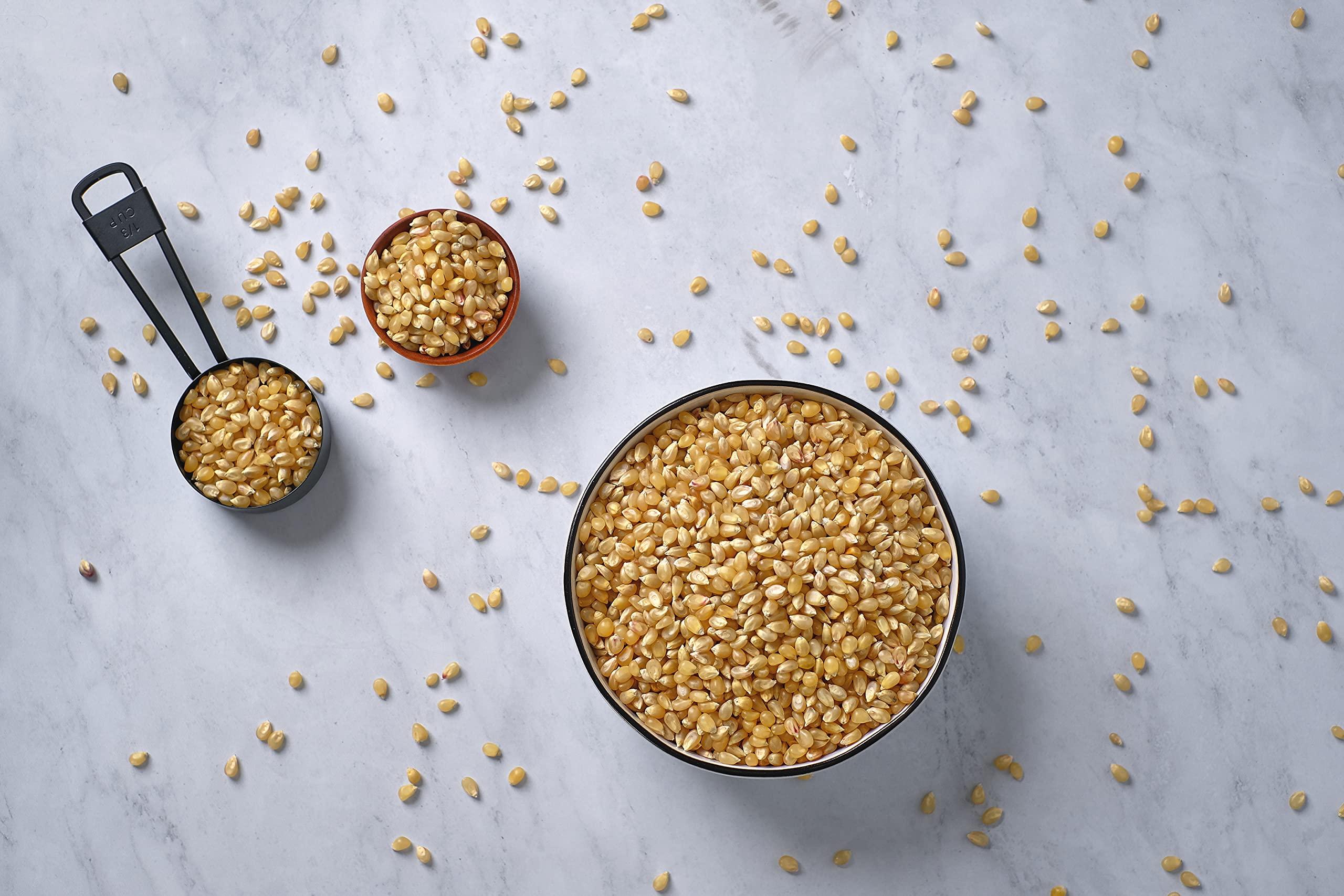 Amish Country Popcorn Amish Country Popcorn | 6 lb Bag | Medium White Popcorn Kernels | Old Fashioned, Non-GMO and Gluten Free (Medium White - 6 lb Bag)