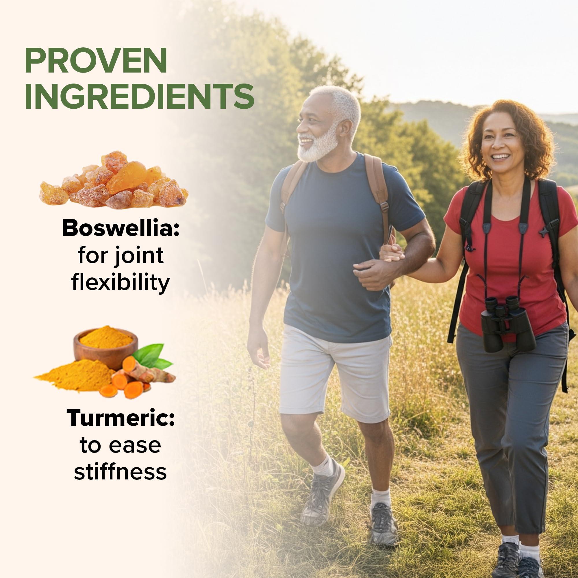 Zenwise Health Zenwise Health Glucosamine Chondroitin MSM - Joint Support Turmeric Supplement for Hands, Back, Knee, and Joint Health, Advanced Relief for Bone and Joint Flexibility and Mobility - 90 CT