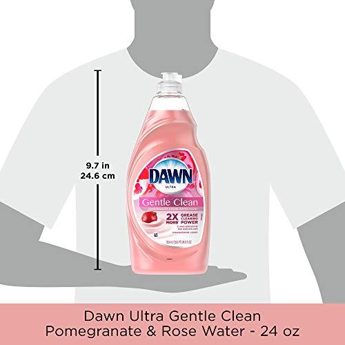 Dawn Dawn Gentle Clean Dishwashing Liquid Dish Soap Pomegranate Splash 24 oz (Pack of 2)