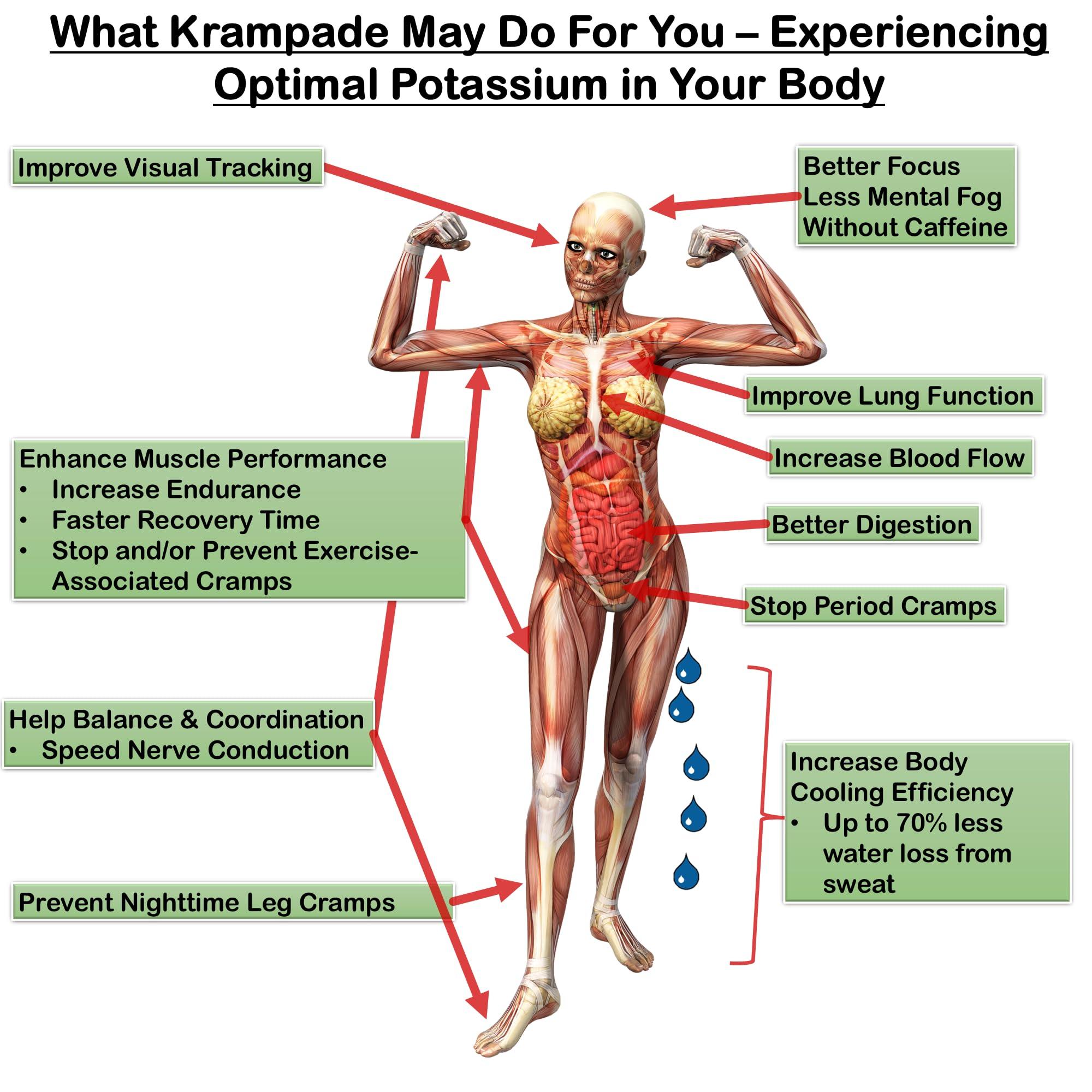 Krampade Krampade 1Krs Potassium Powder Drink Mix | 1000 mg | Hydration and Cramp Prevention