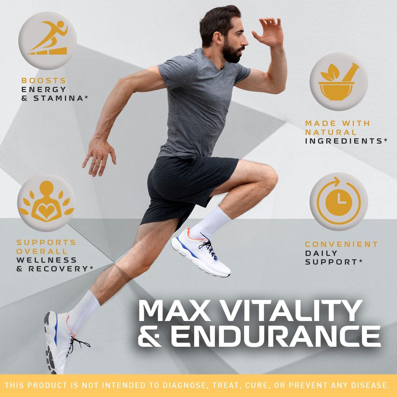 LIVORKA (3 Pack) Alpha Bites - Alpha Bites Gummies, Alpha Bites for Men, AlphaBites, AlphaBites Gummies, Alpha Bites Gummies for Men, AlphaBites for Men Gummy, AlphaBites Reviews, 180 Gummies for 3 Months