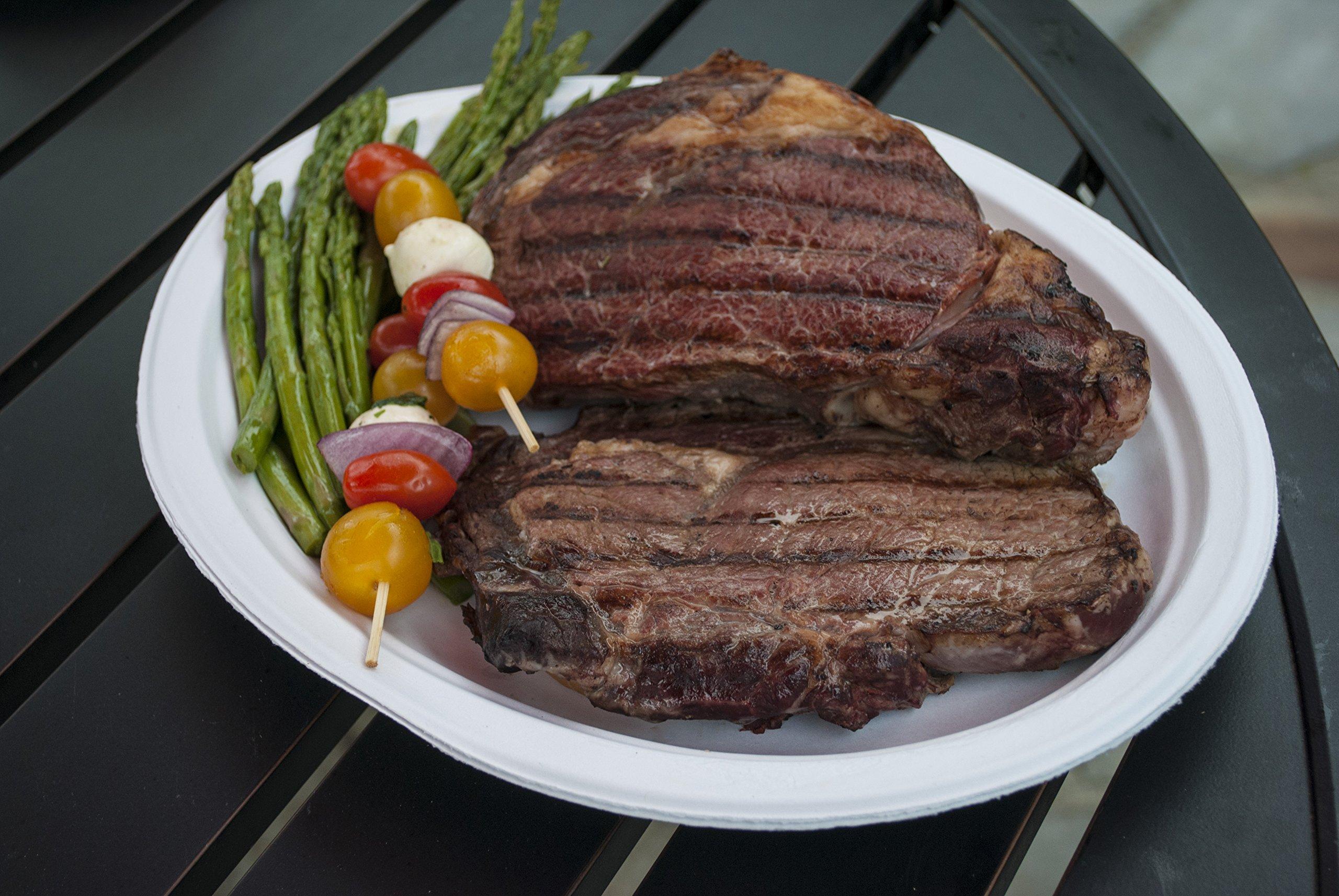 Chinet Chinet 10 3/8 Dinner Plate 100-count Box