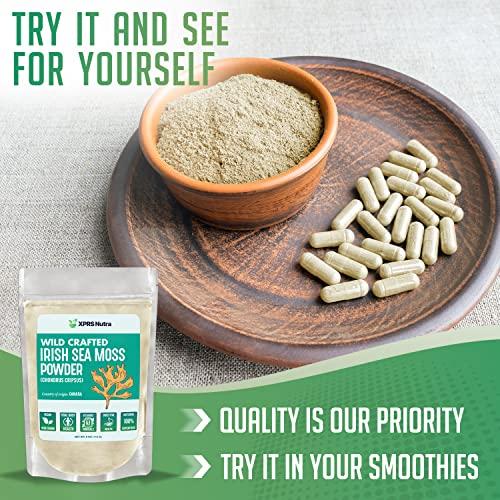 XPRS Nutra XPRS Nutra Irish Sea Moss Powder (Chondracanthus Chamissoi) - Premium Wildcrafted Seamoss Powder for Glowing Skin - Total Body Health Sea Moss Drink Powder - Vegan Friendly Irish Moss Powder (4 oz)