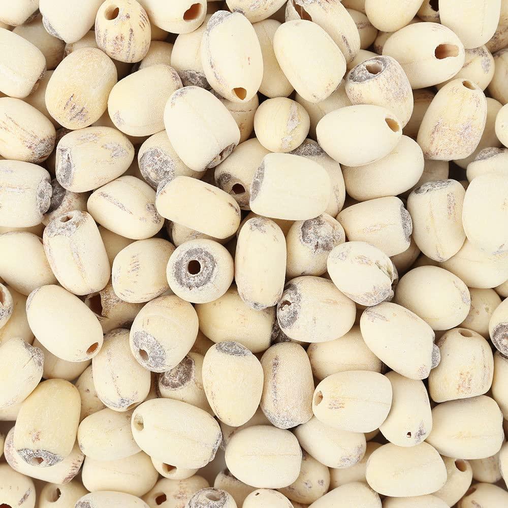 PALPLUS Organic Natural Pure Lotus Seed Dried Bulk Herbs (10.58 Ounce (300gram))