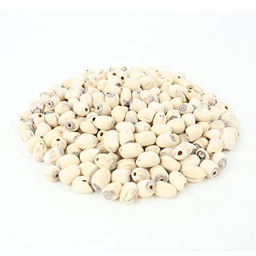 PALPLUS Organic Natural Pure Lotus Seed Dried Bulk Herbs (10.58 Ounce (300gram))