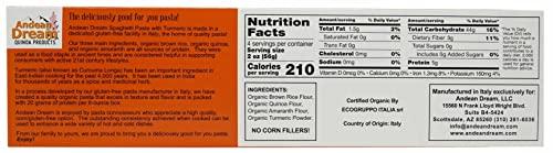 Andean Dream Andean Dream Organic Turmeric Spaghetti Pasta (12 Pack)
