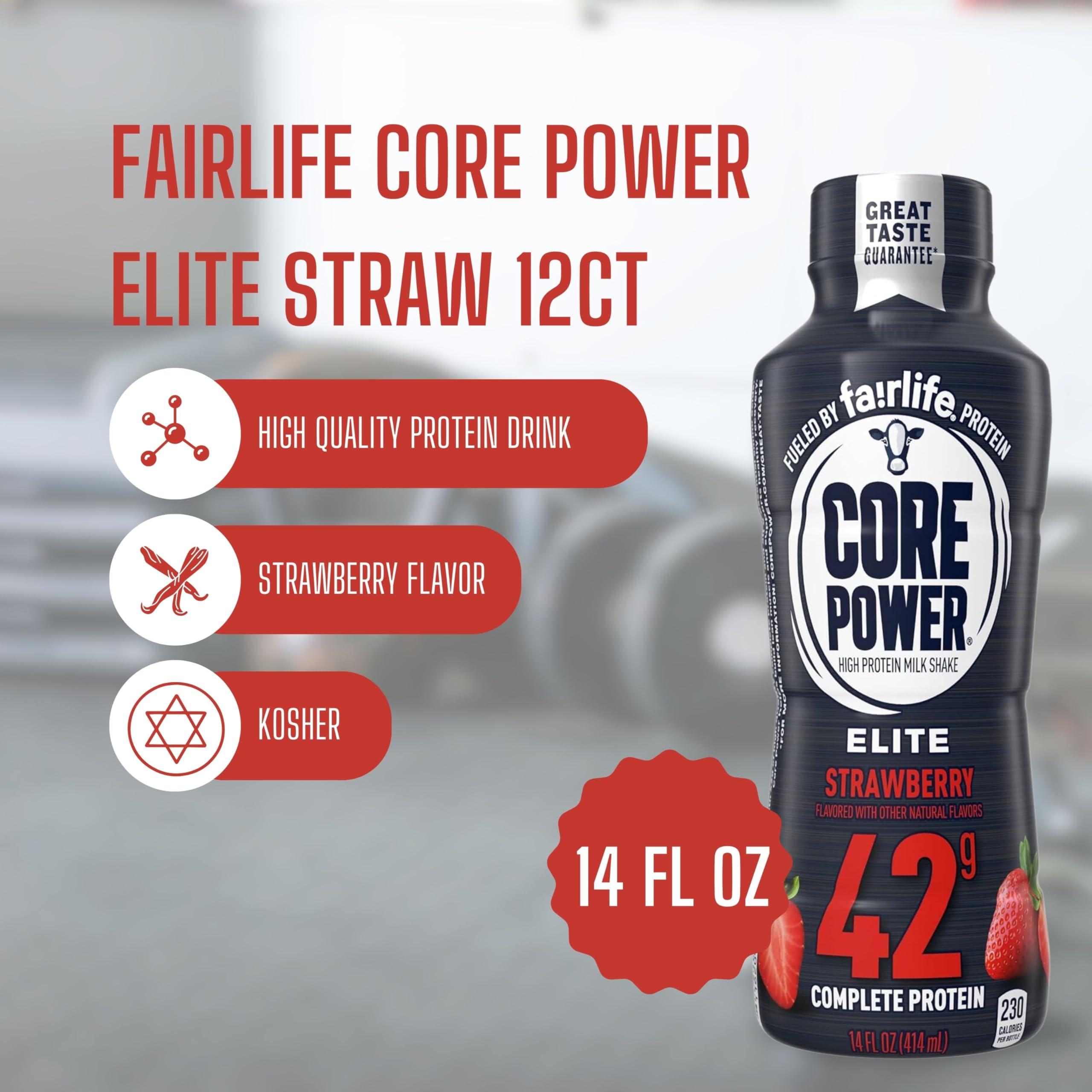 Worldwide Nutrition Worldwide Nutrition Bundle: Fairlife Core Power Elite 42g High Protein Milk Shake - Kosher, Strawberry Protein Shake for Workout Recovery - 14 Fl Oz (Pack of 12) & Multi-Purpose Key Chain