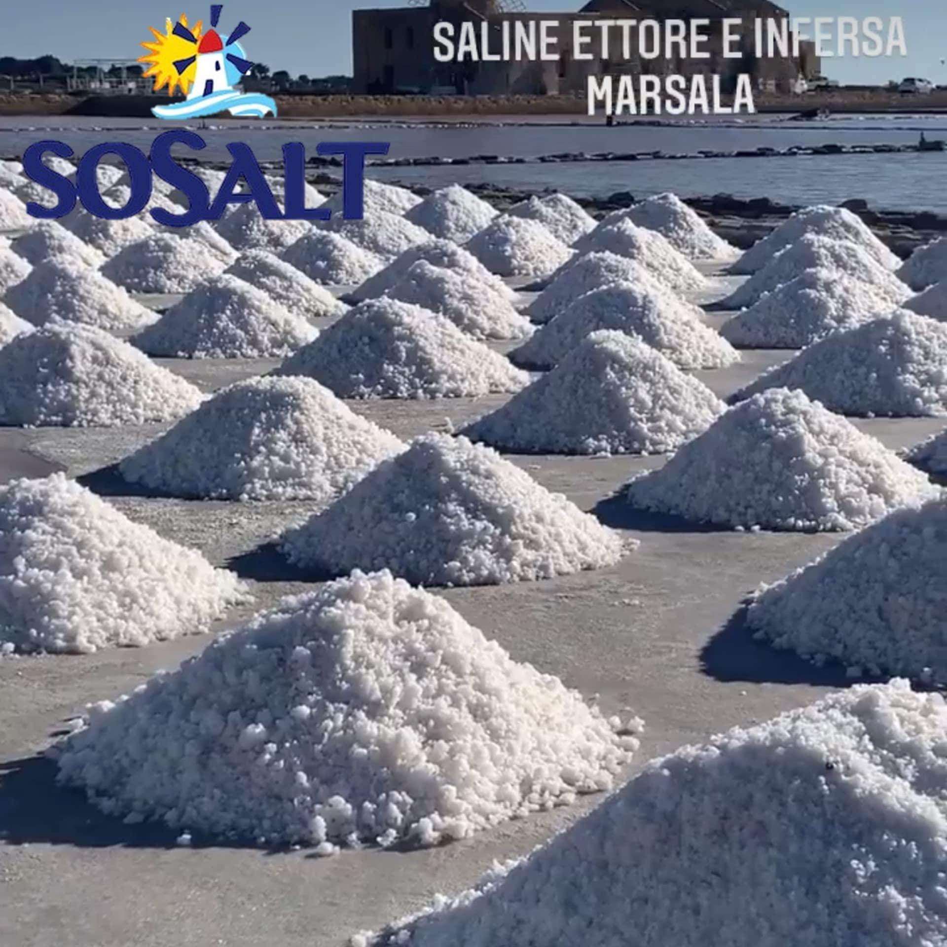 SOSALT DAL MARE DI TRAPANI Fine Natural Sea Salt, 27.56 lbs (12.5 kg), Bulk, Foodservice, Resturant, Canning, Brining, BBQ, Asado, Grilling, SoSalt, Trapani Sicilian, Mediterranean