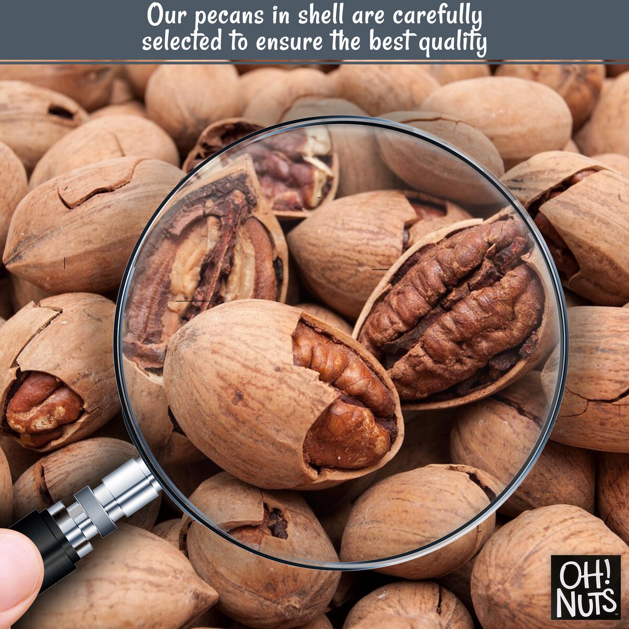 Oh! Nuts Pecans in Shell | Raw - 100% Natural | 2 lb | High-Protein Pecans | Packed in New York Zip-Seal Bag for Exceptional Freshness by Oh Nuts