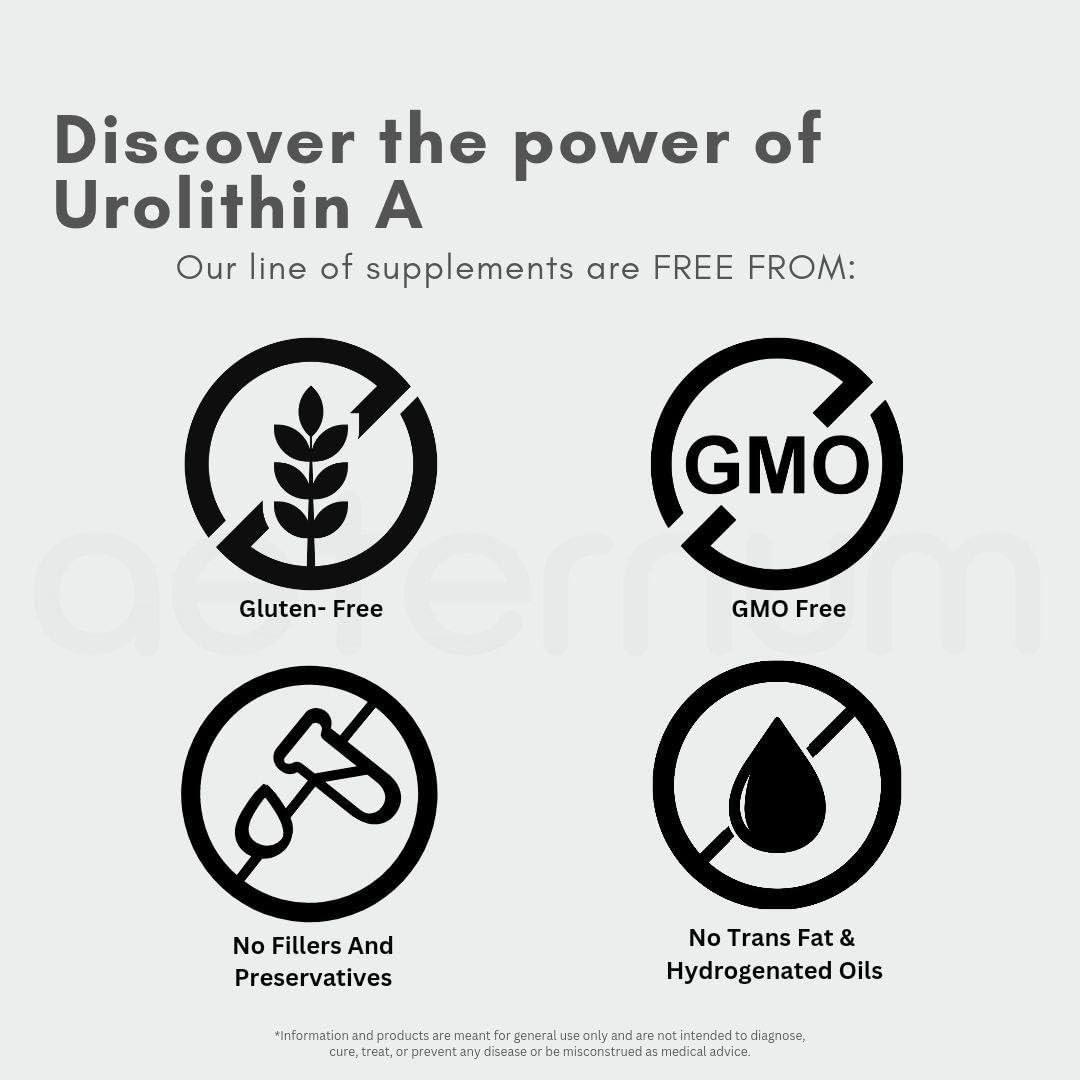 aeternum aeternum UA Urolithin A Powder 100g
