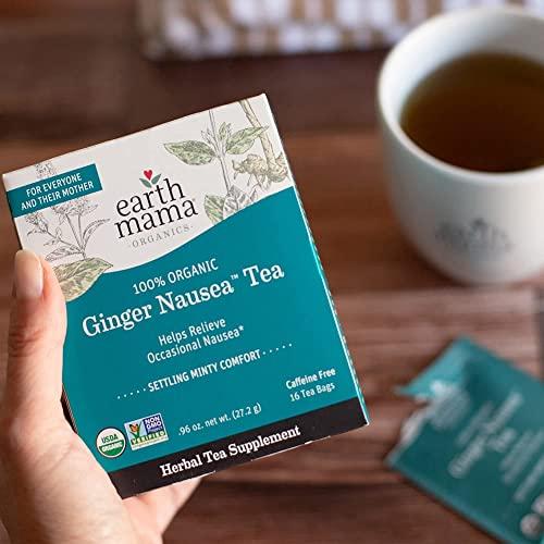 Earth Mama Earth Mama Organic Ginger Nausea Tea | Comforts Occasional Nausea + Morning Sickness, 16 Teabags Per Box (6-Pack)