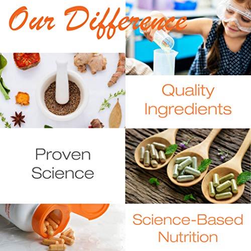 Doctor's BEST Doctors Best Proteolytic Enzymes, Broad Spectrum Proteolytic Enzyme Formulation, Non-GMO, Vegetarian 90 Delayed Release Veggie Caps