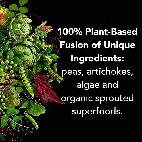 PlantFusion PlantFusion Complete Vegan Protein Powder - Plant Based Protein Powder With BCAAs, Digestive Enzymes and Pea Protein - Keto, Gluten Free, Soy Free, Non-Dairy, No Sugar, Non-GMO - Vanilla Pack of 12