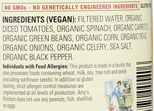 Amy\'s Amy\'s Organic Chunky Vegetable Soup, Low Fat, 14.3-Ounce