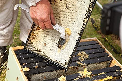 Center of Eden Center of Eden Raw Manuka Honey UMF 15+, MGO 515+, 100% Natural, Unpasteurized, Glass Jar, 8.8 oz (250g), Certified, New Zealand