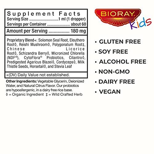 BIORAY BIORAY Kids NDF Focus, Citrus - 4 fl oz - Supports Cognitive Function, Enhances Clarity & Promotes Steady Energy Levels - Non-GMO, Vegetarian, Gluten Free - 2-4 Month Supply