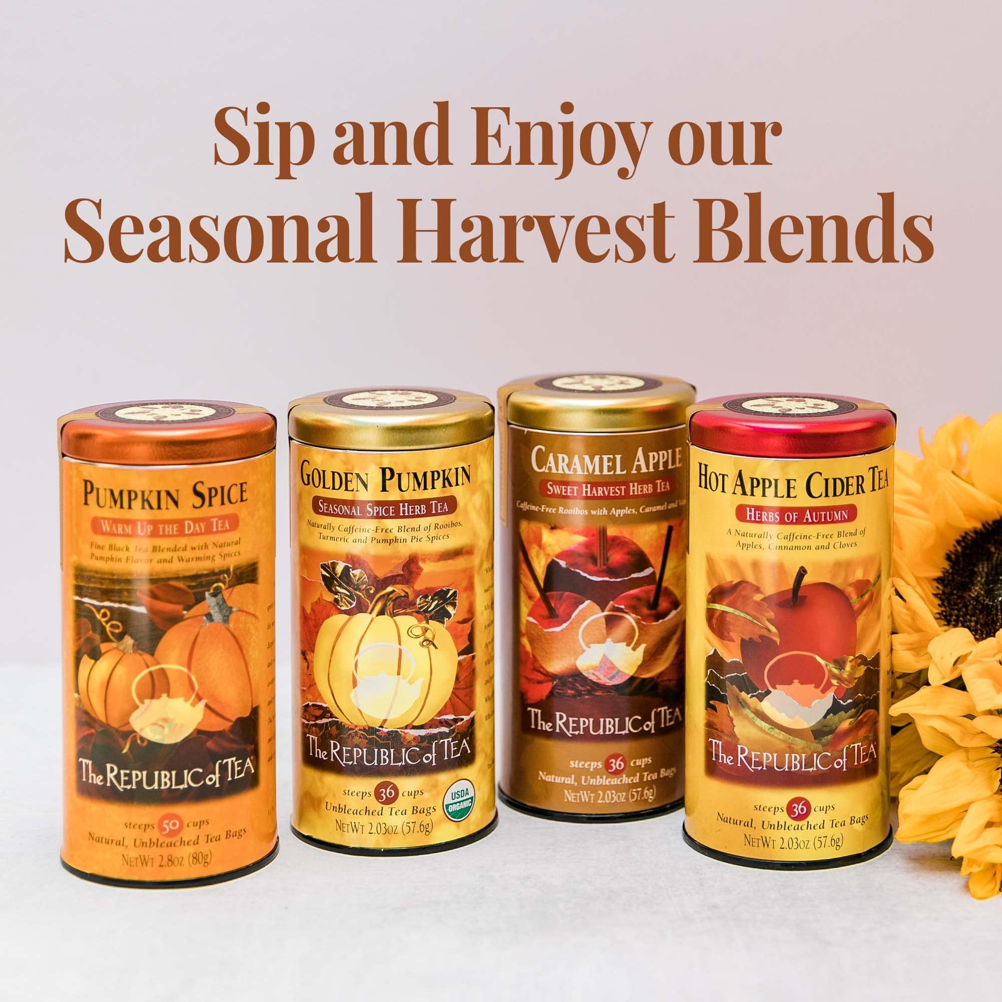 The Republic of Tea The Republic of Tea - Pumpkin Spice Black Tea, 50 Tea Bags