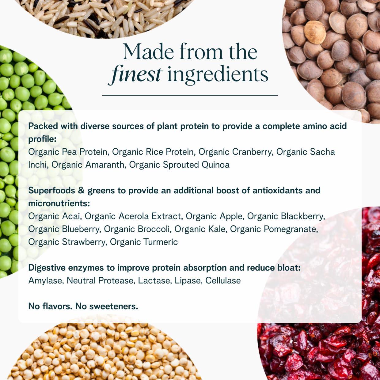 Ora Organic Ora Organic Vegan Protein Powder - 23g Plant Based Pea Protein + Superfood for Women and Men - Unsweetened 20 Servings, No Erythritol, Digestive Enzyme, Keto-Friendly, Gluten-Free, Paleo, Soy-Free