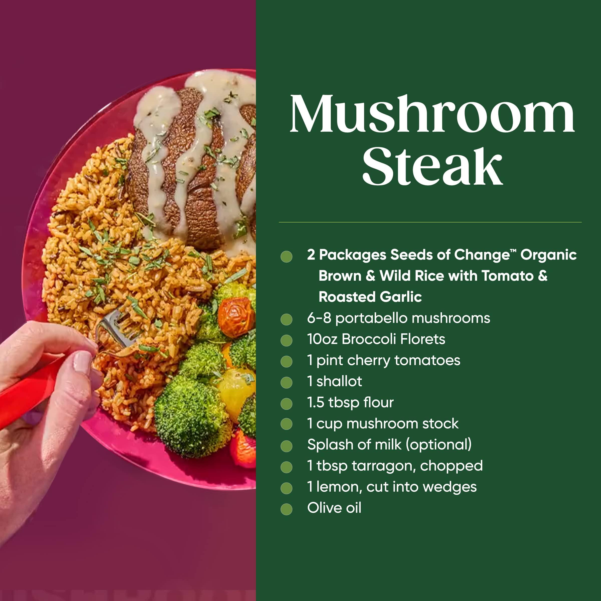 SEEDS OF CHANGE SEEDS OF CHANGE Certified Organic Brown and Wild Rice with Tomato & Roasted Garlic, Organic Food, 8.5 oz Pouch (Pack of 12)