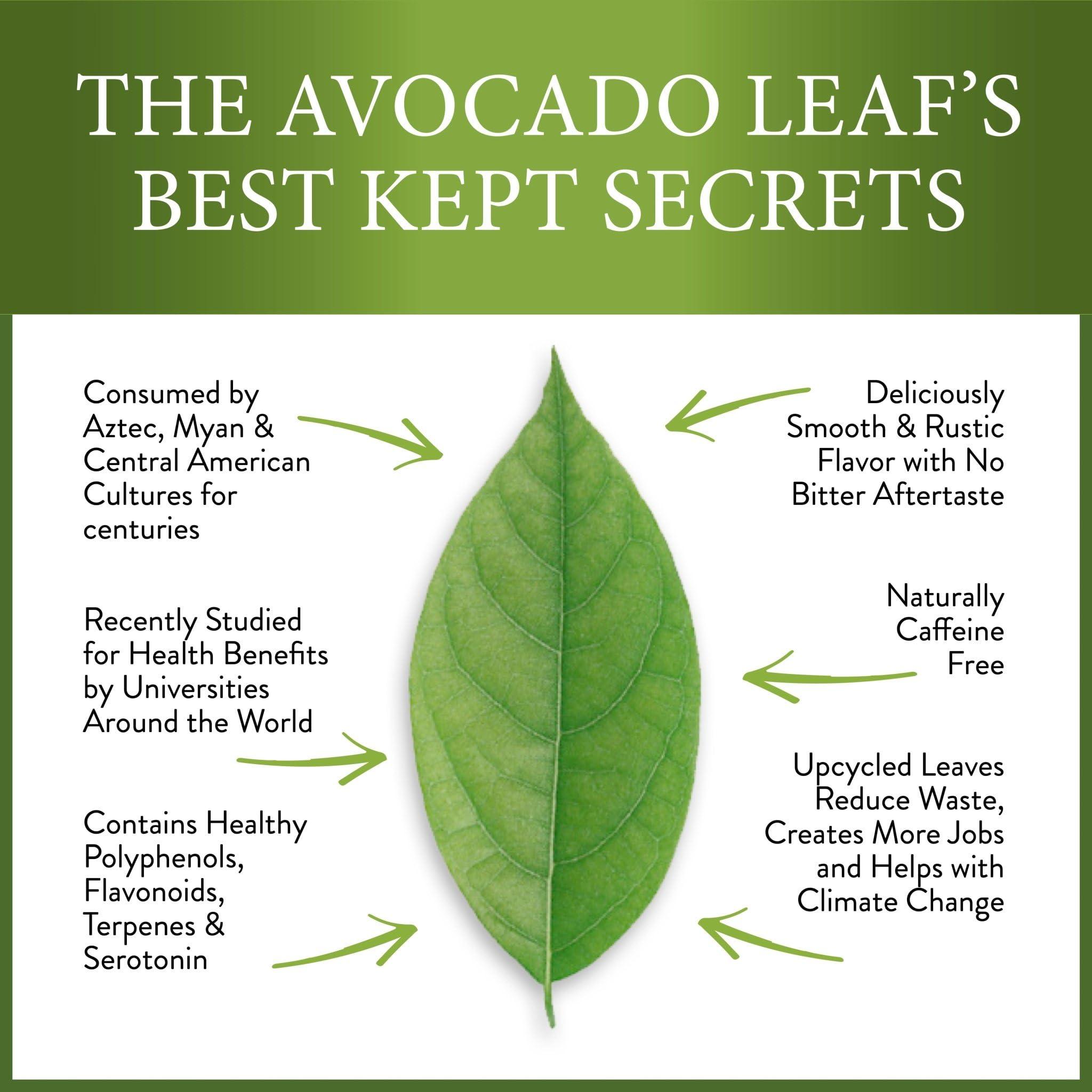 avocado leaf tea Avocado Leaf Tea Peach Tea Caffeine-free | Herbal Tea | Immune Support | Cold Brew or Hot Tea | 15 Tea Bags -30 Servings (Gluten Free, Non-GMO)