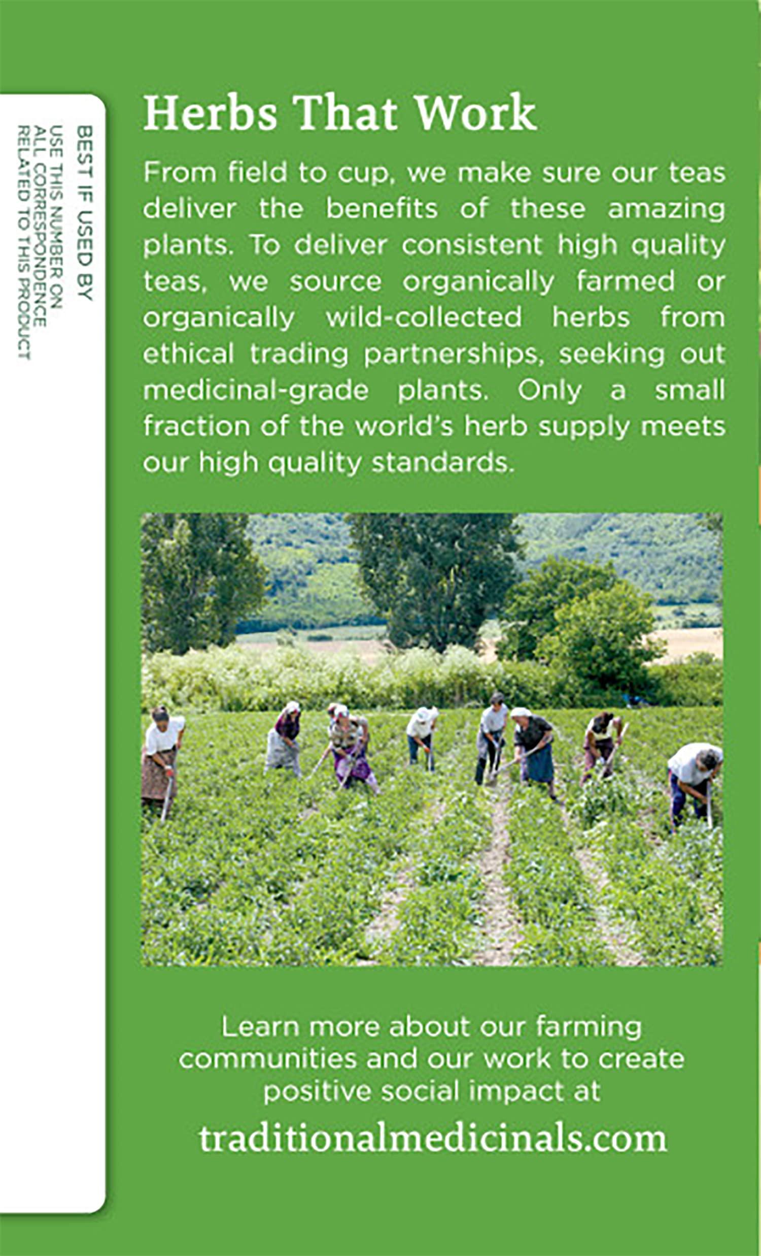 Traditional Medicinals Traditional Medicinals, Tea Green Peppermint Organic, 16 Count